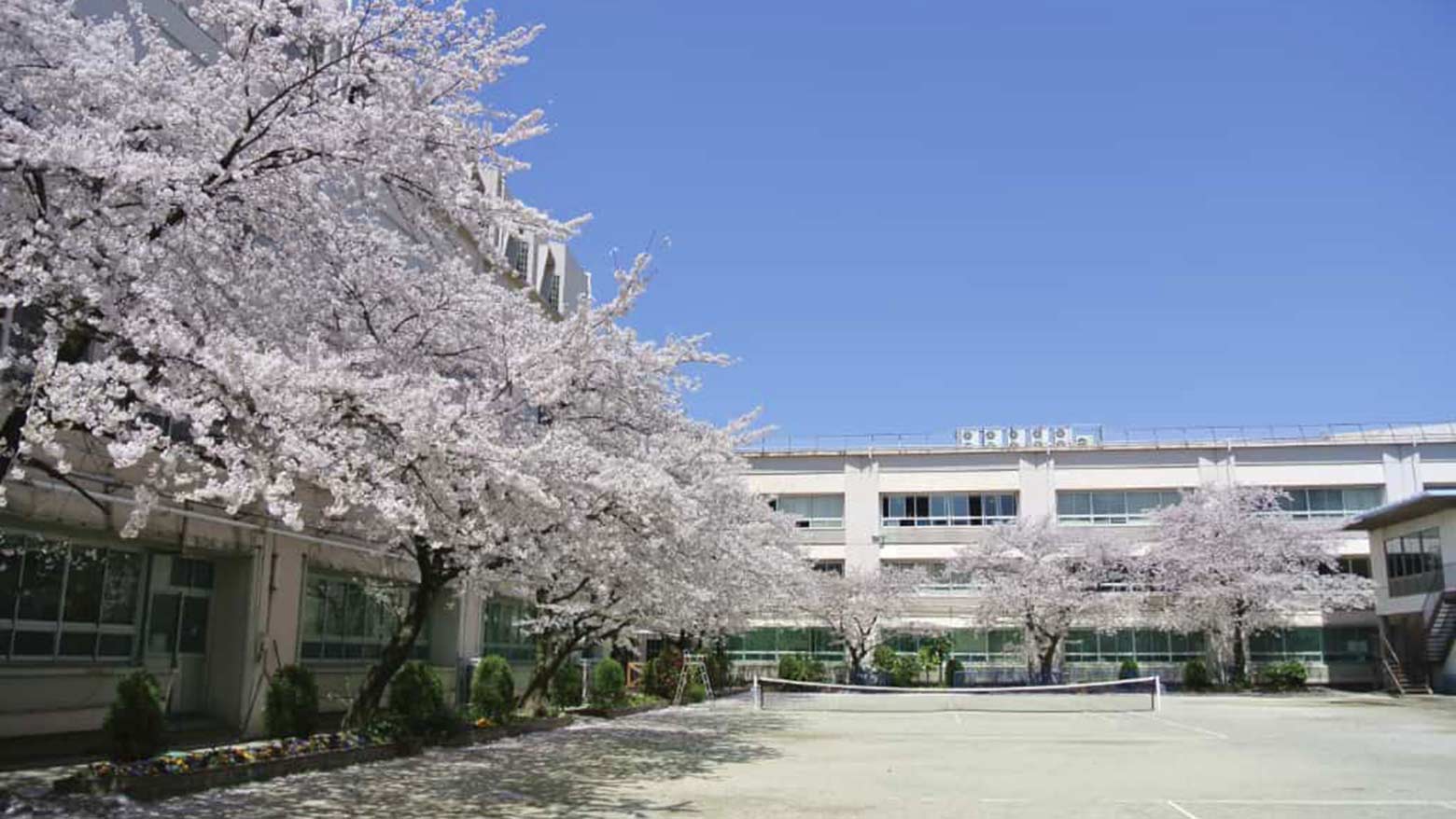 菊華高等学校のイメージ写真