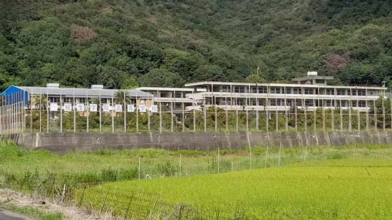 相生学院高等学校の写真