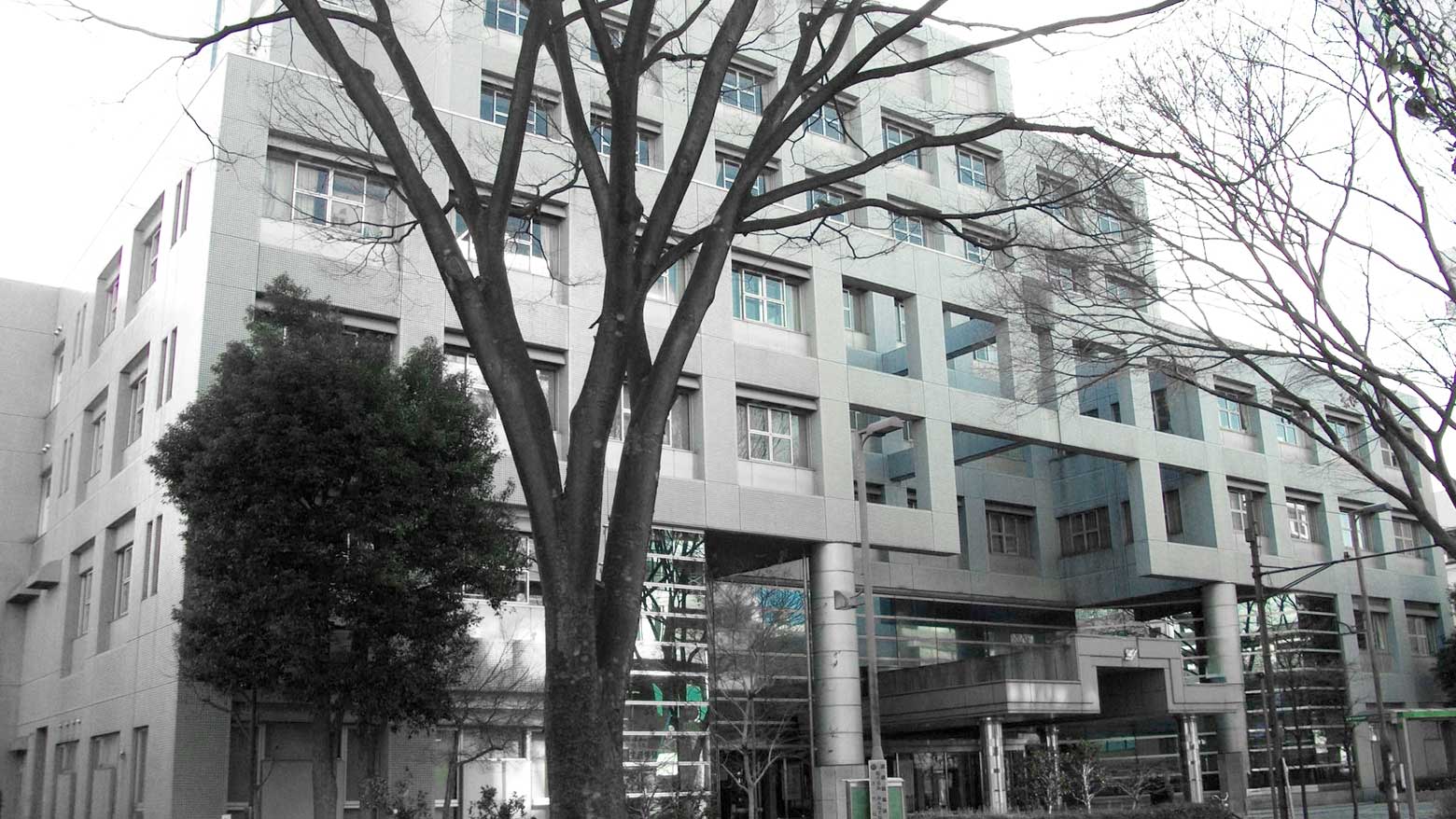 東京都立新宿山吹高等学校のイメージ写真