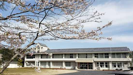 代々木高等学校の写真
