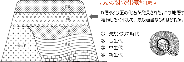 地質時代と化石 高認対策