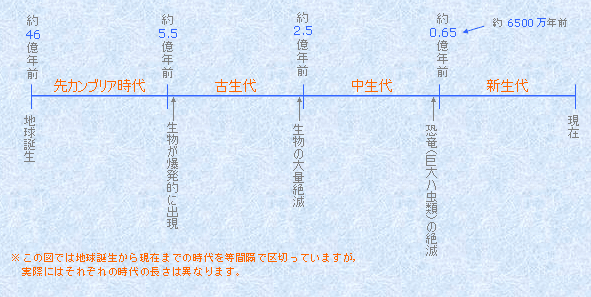 地質時代と化石 高認対策