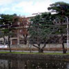 山形県立鶴岡南高等学校の写真